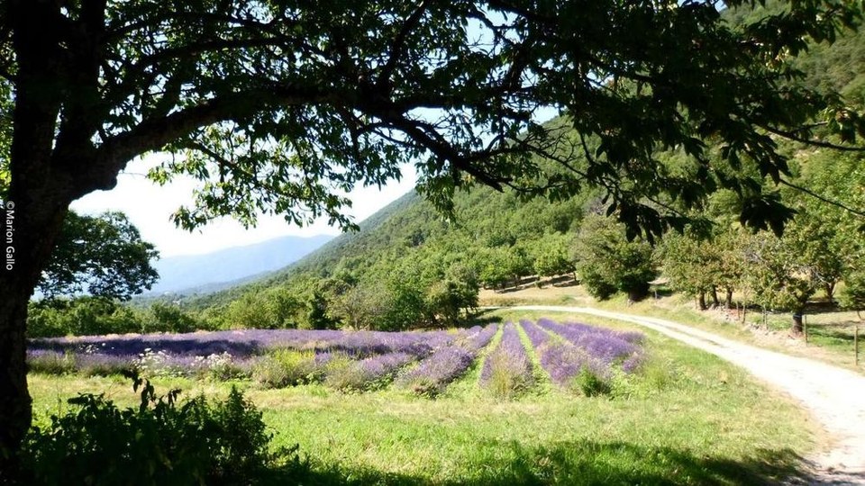 Le Devès