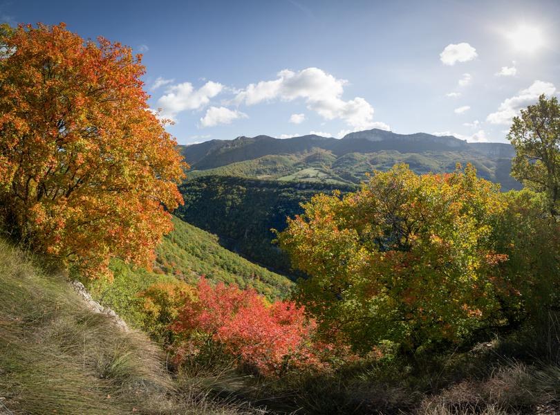Le plateau de Briesse
