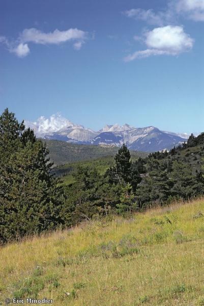 Les crêtes de Tarsimoure