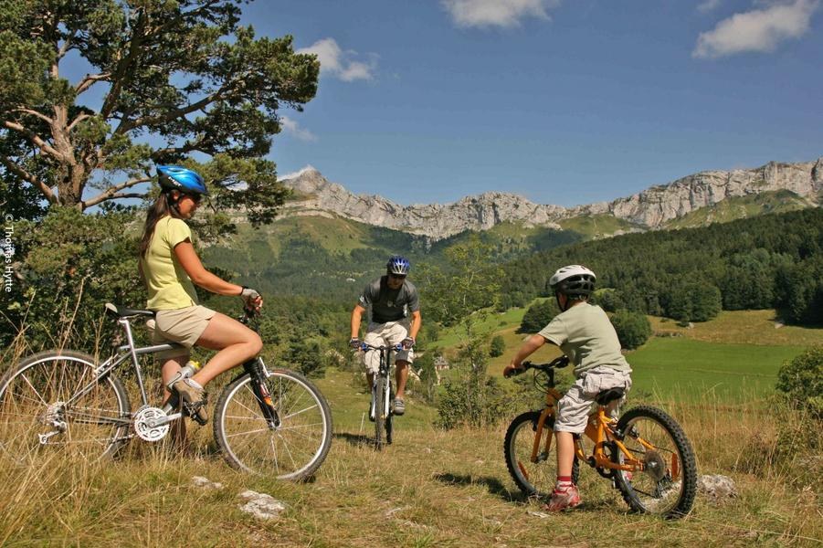 Tourtre