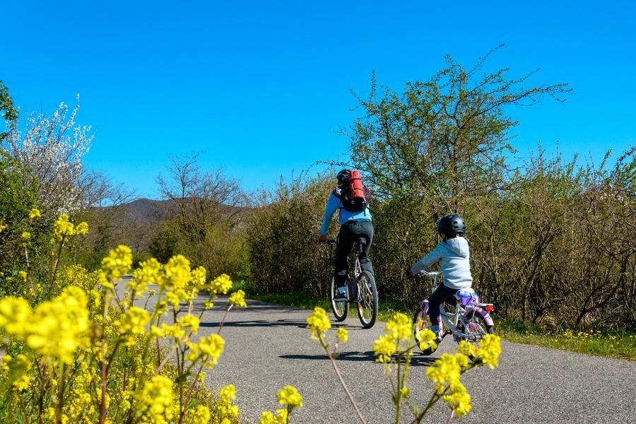 Voie vélos, piétons, rollers : La voie douce de la Payre
