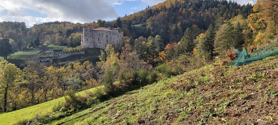 Château des Boscs