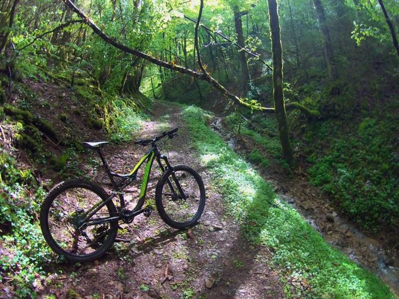 Circuit VTT n°5 (vert) - Forêt de la Rousse - Bois de Valuisant