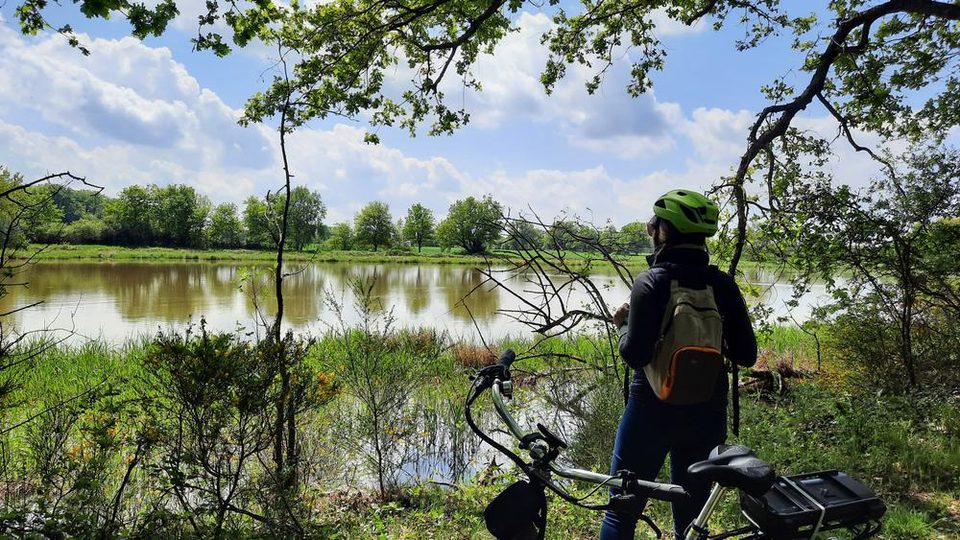 Itinérance L'Ain à Vélo - La Dombes aux mille étangs (1 jour)
