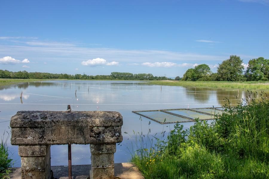 Itinérance L'Ain à Vélo - Entre Dombes et Val de Saône (1 à 2 jours)