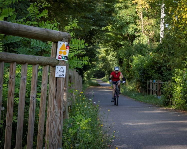 Itinéraire VTT : circuit 2 vert, base Briennon_Vougy