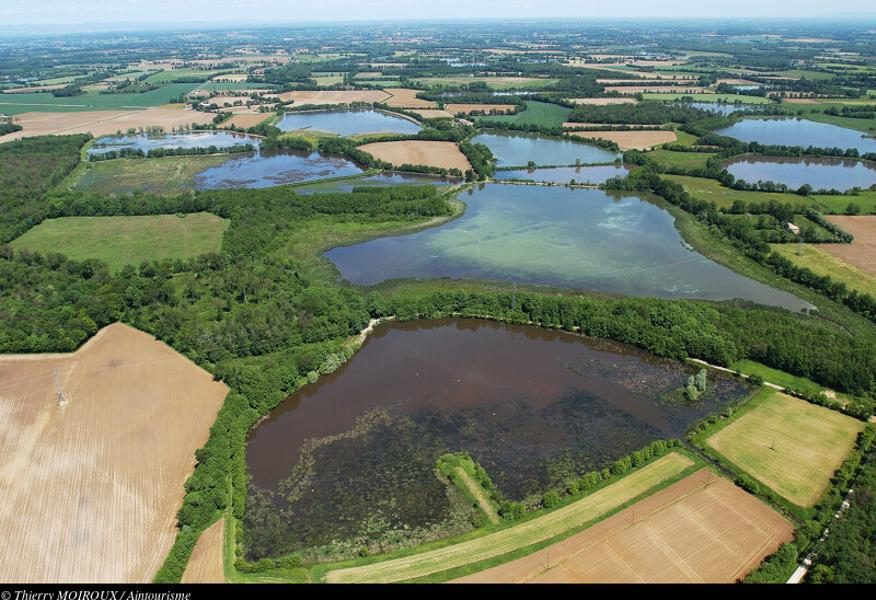 Itinérance L'Ain à Vélo - La Dombes, terre d'eau (4 jours)