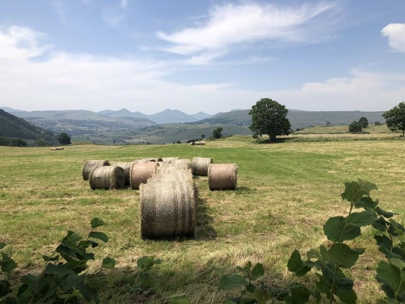 Monts du Cantal depuis le Jolan