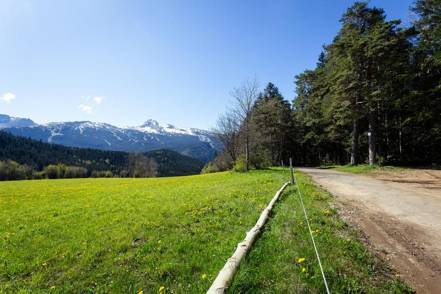 Le Sapin Bellier - Circuit VTT N°48 - Rouge