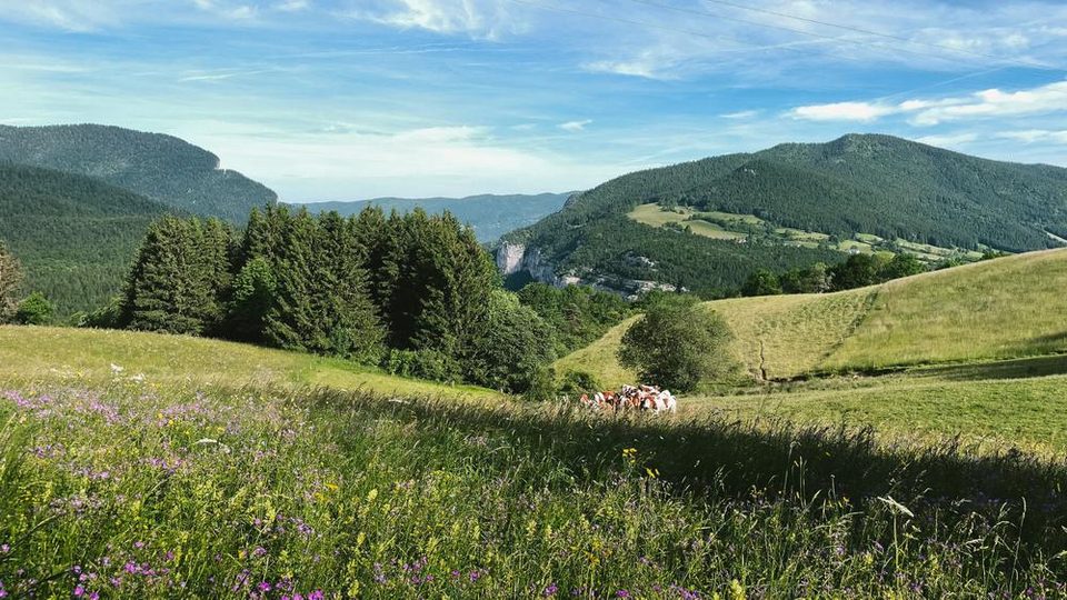 La Loubière express - Circuit VTT N°46 - Bleu