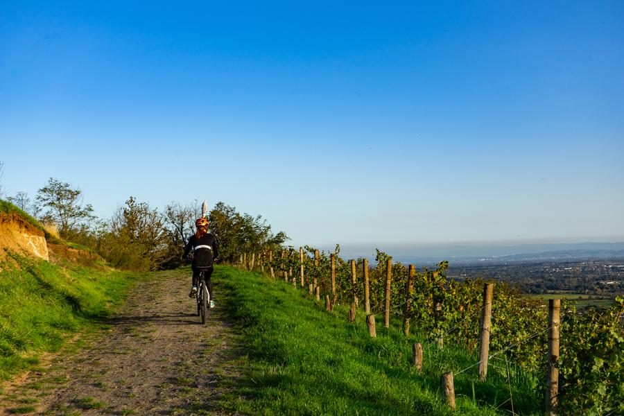 Vélo à Champdieu