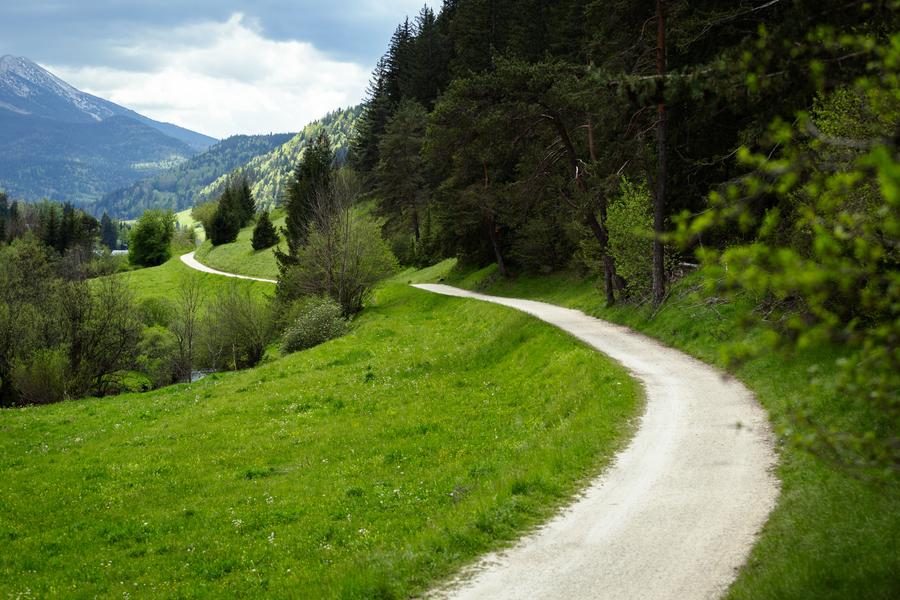 L'arboretum - Circuit VTT N°42 - Vert