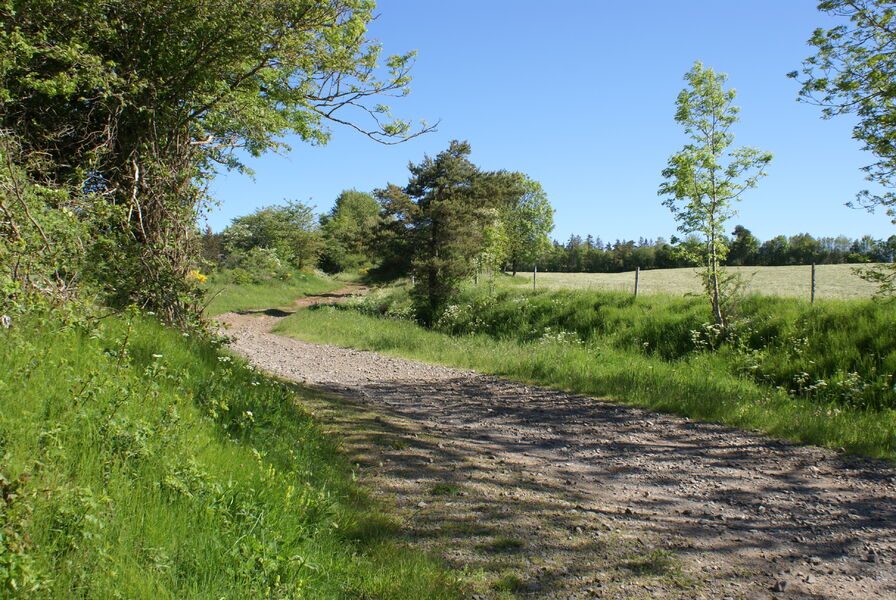 Circuit VTT n°14 : Les Hauts de Pierrefort