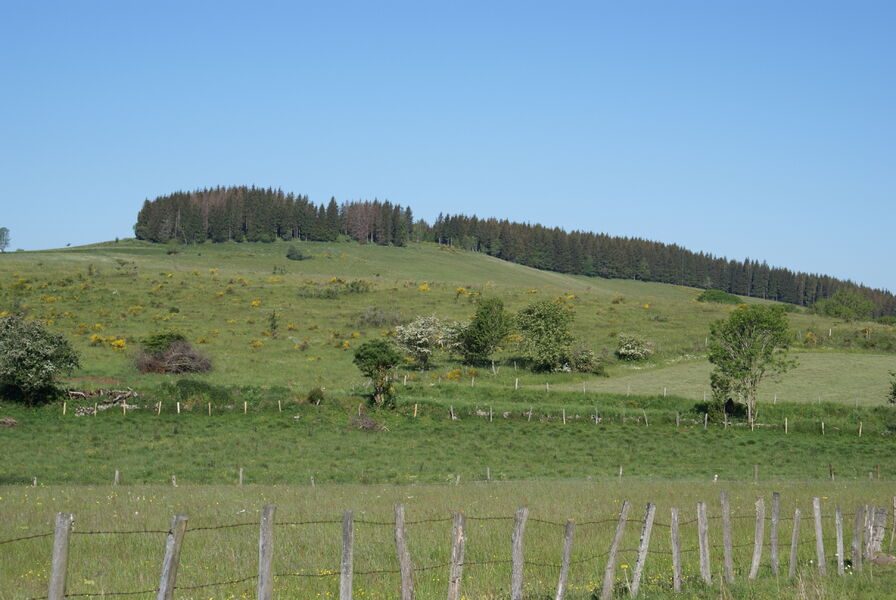 Bois de Chabridet