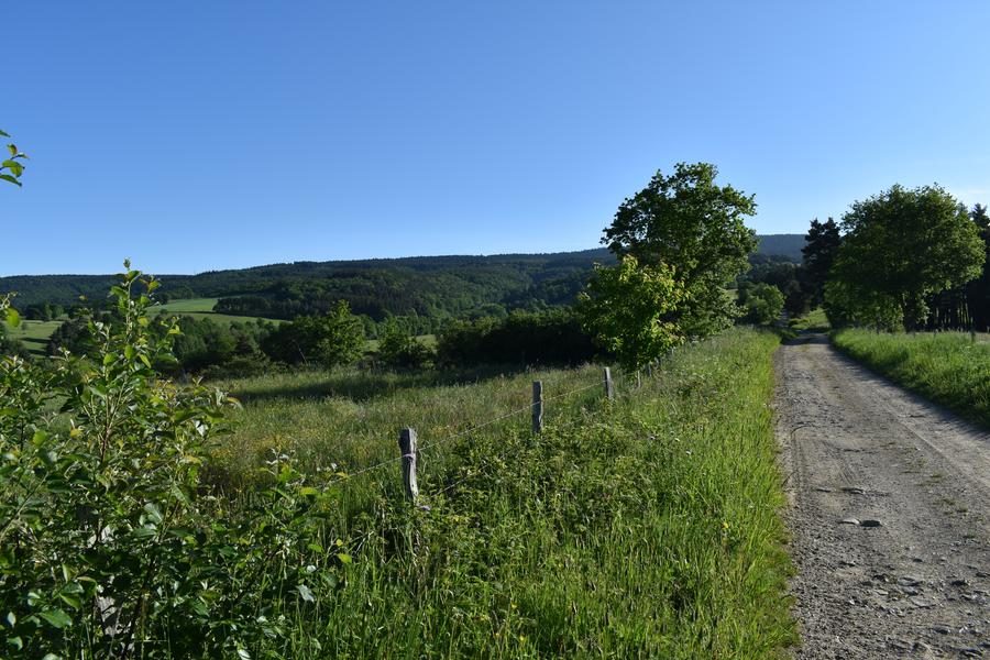 Circuit VTT n°33 : Le Ruisseau de Lafont - Ruynes en Margeride