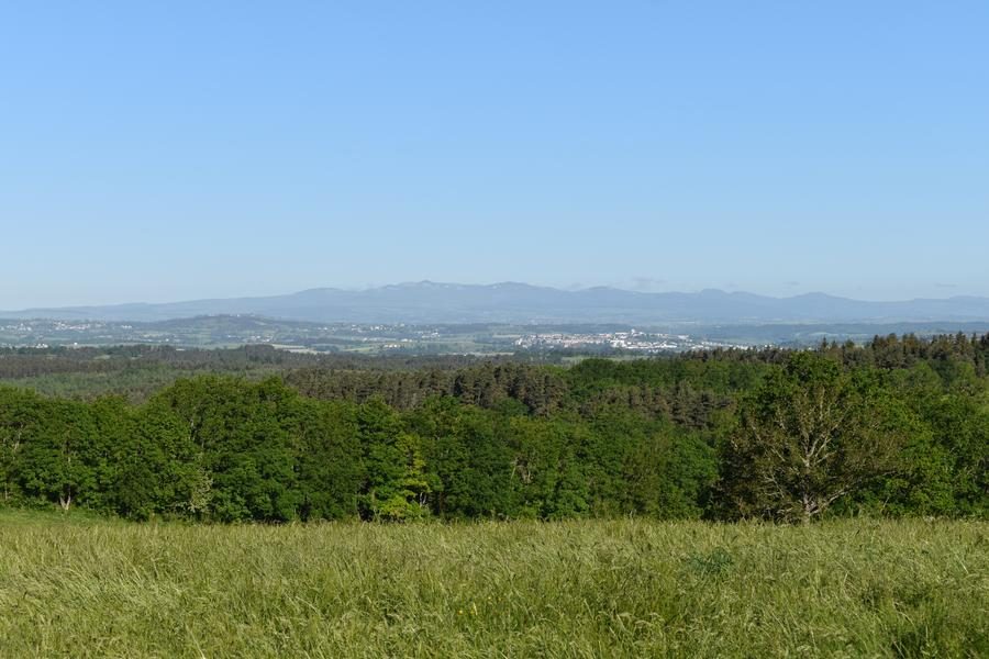 La margeride