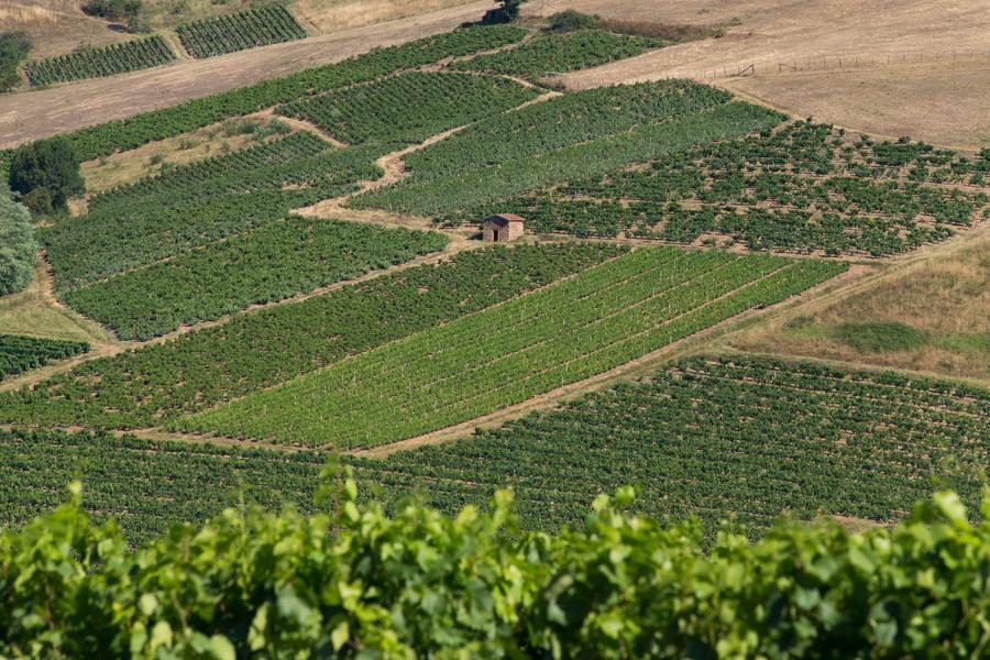 val d'oingt