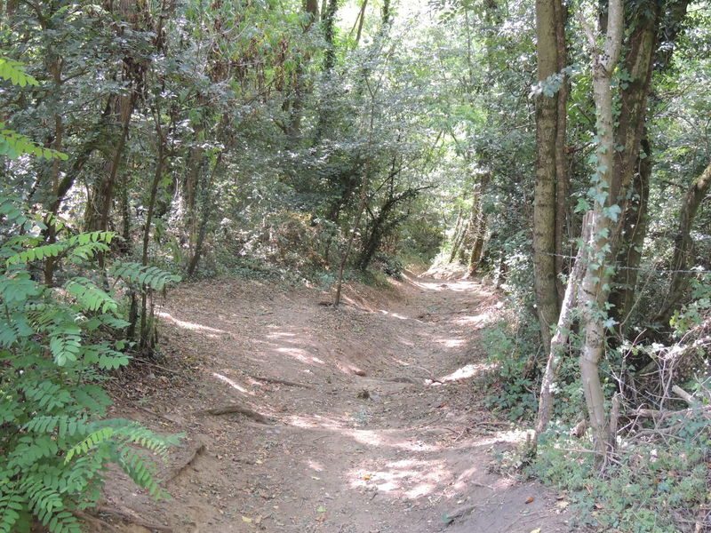 Circuit VTT 202 - Les Lapins