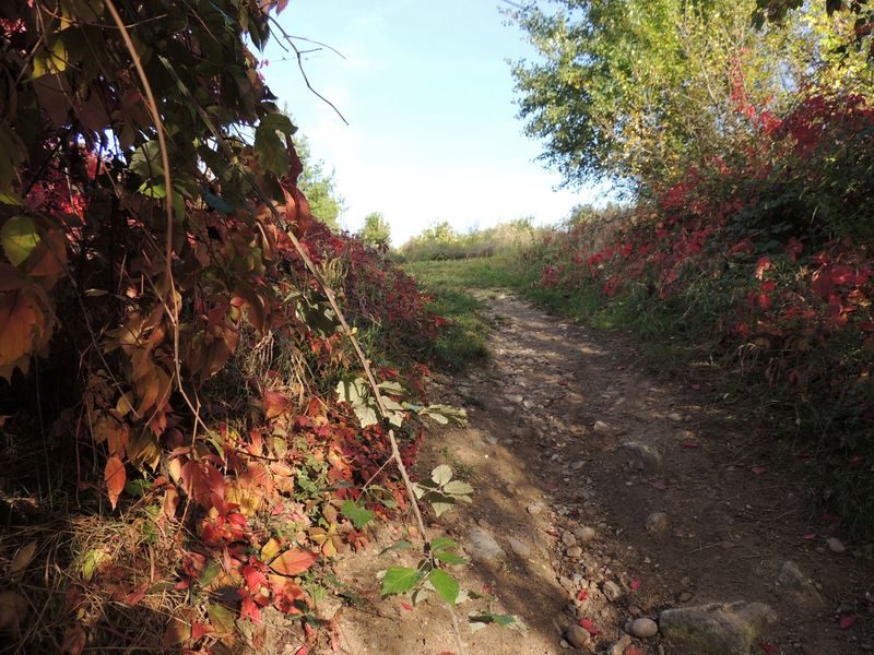 Circuit VTT 221 - Ninon Vallin