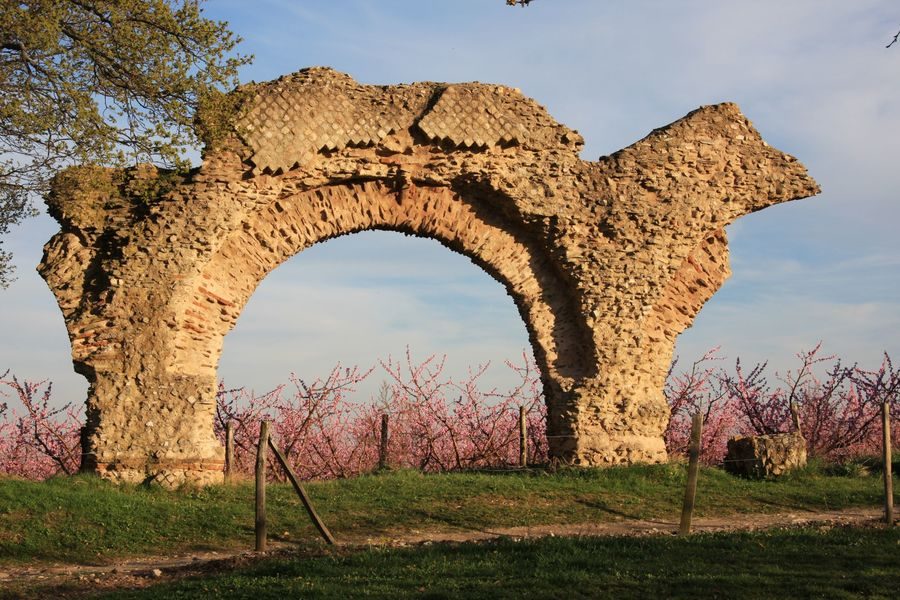 Circuit VTT 185 - Vignes et Coteaux