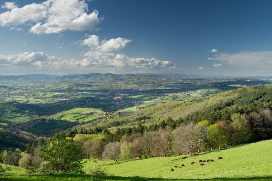 Paysage