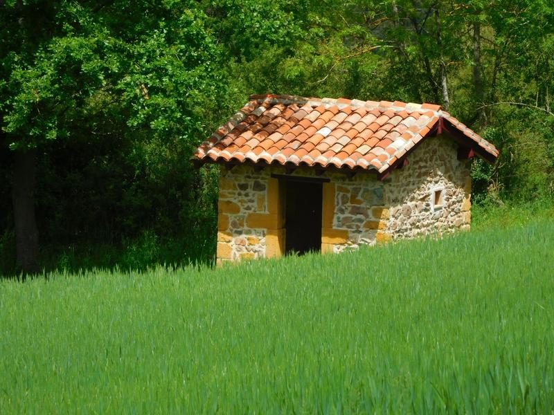 Circuit VTT 56 - La cabane de vigne