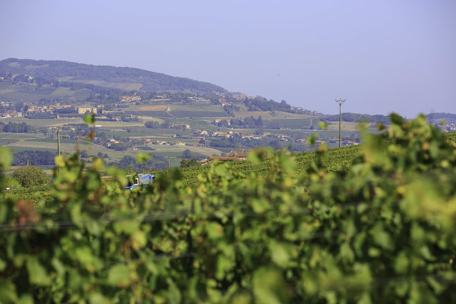 Autour de Saint Germain Nuelles