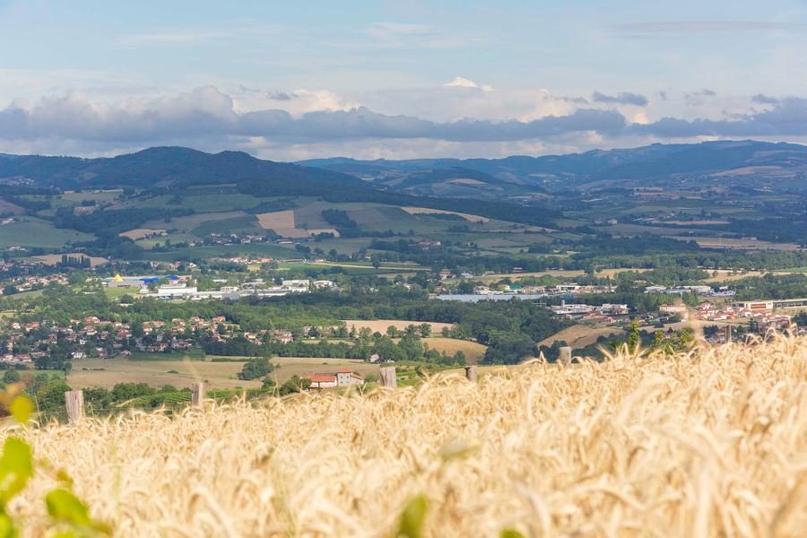 Le Tour du Pays de L'Arbresle_Sourcieux-les-Mines