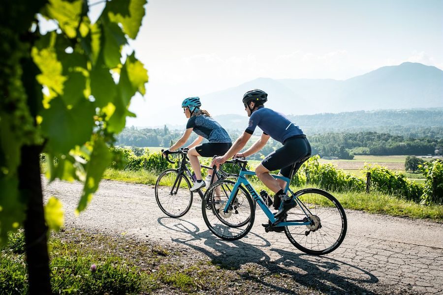 vélo vignoble