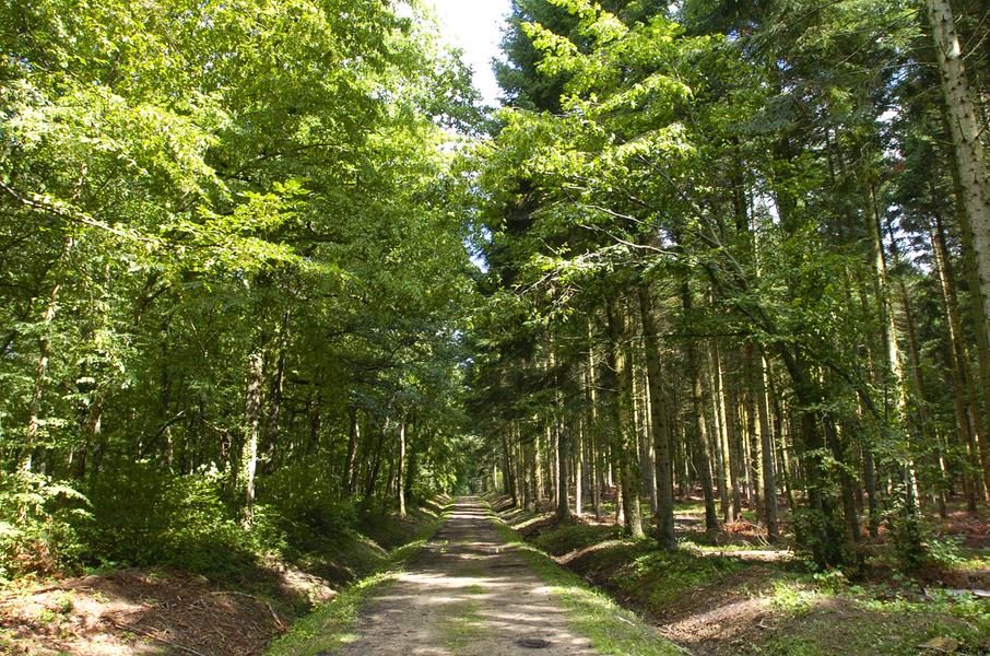 Circuit VTT n°27 – Tour de la Comté