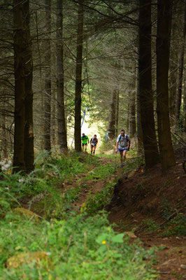 Trail à Saint-Nicolas-des-Biefs