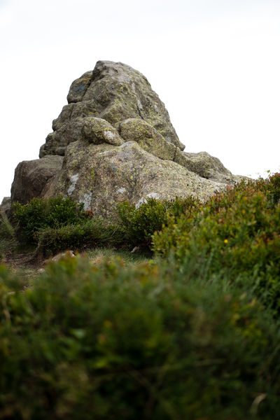 Le Roc du Vacher au Plateau de la Verrerie à Saint-Nicolas-des-Biefs
