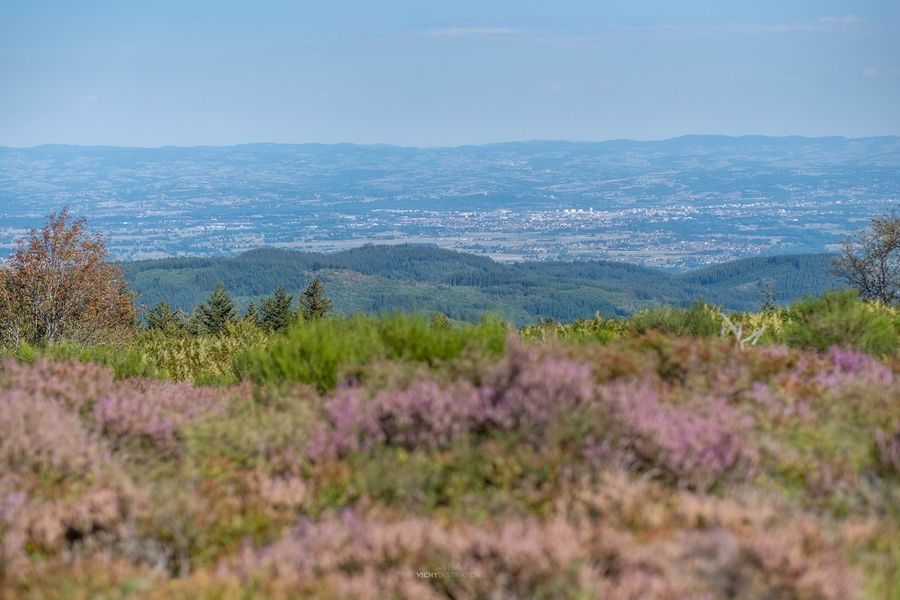 Le plateau de la Verrerie à Saint-Nicolas-des-Biefs