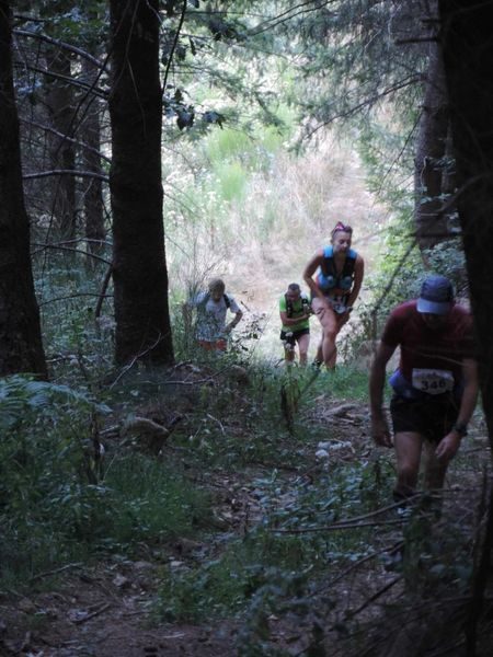 Trail n° 43 - Saint-Nicolas-des-Biefs