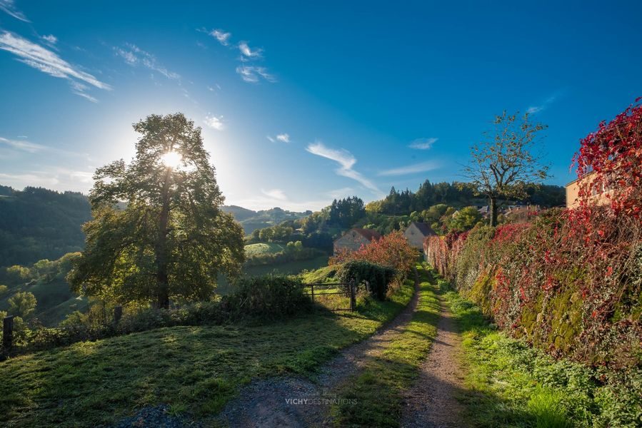 Chemin de trail