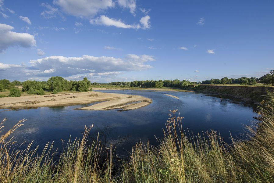 La réserve naturelle du val d'Allier