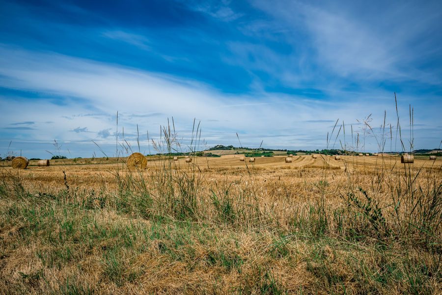 Après moisson, vers Luzillat