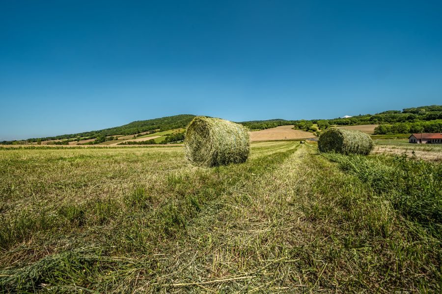 Aux environs d'Yronde