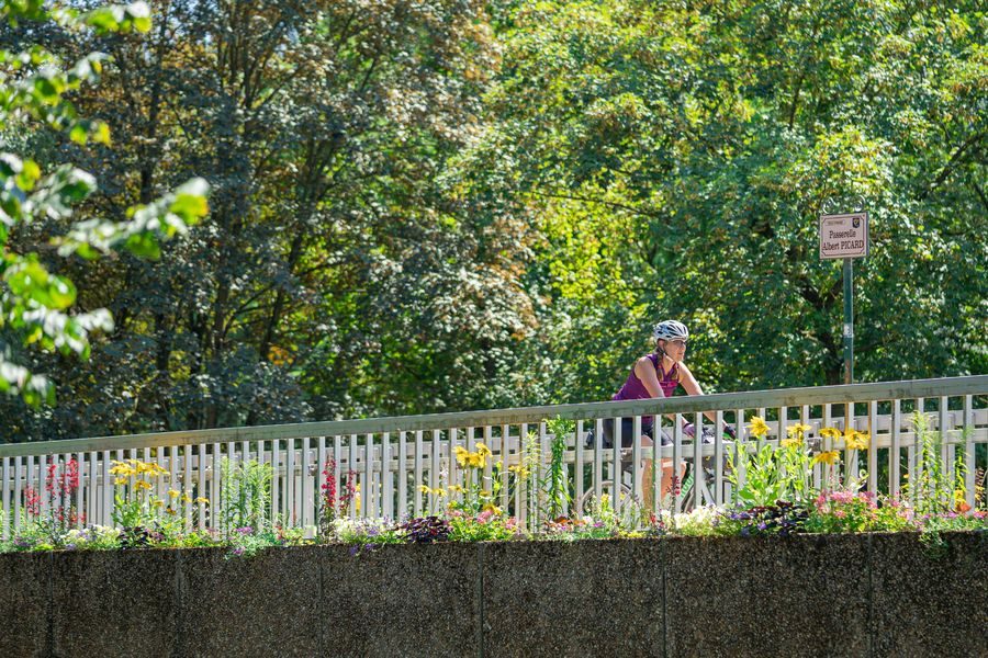La passerelle Albert Picard dans le square René Cassin