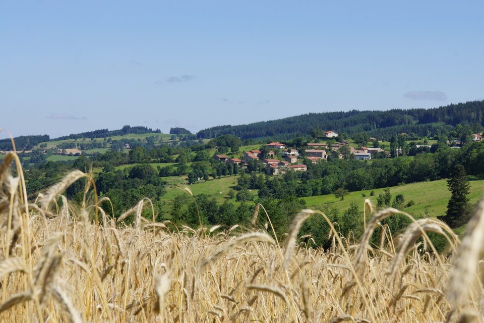 Balade des crêtes