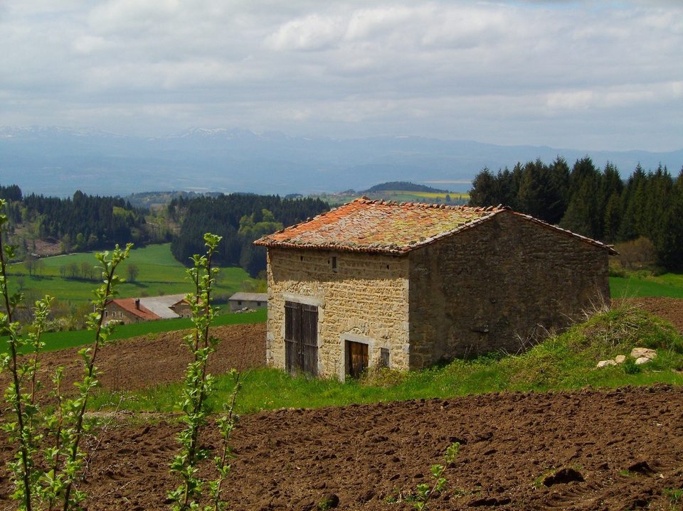 point de vue sur le massif du sancy