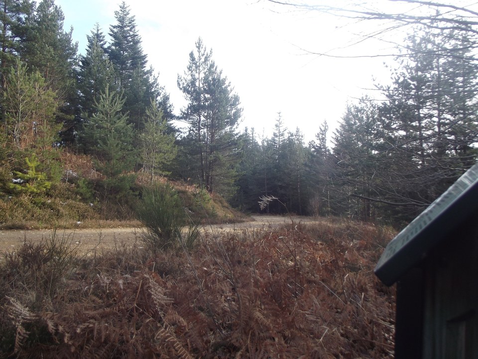 Forêt d'Ailloux