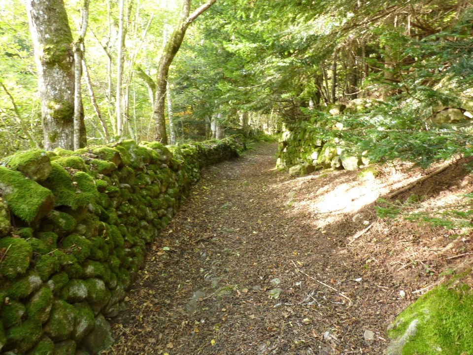 Le bonheur est dans le Bois