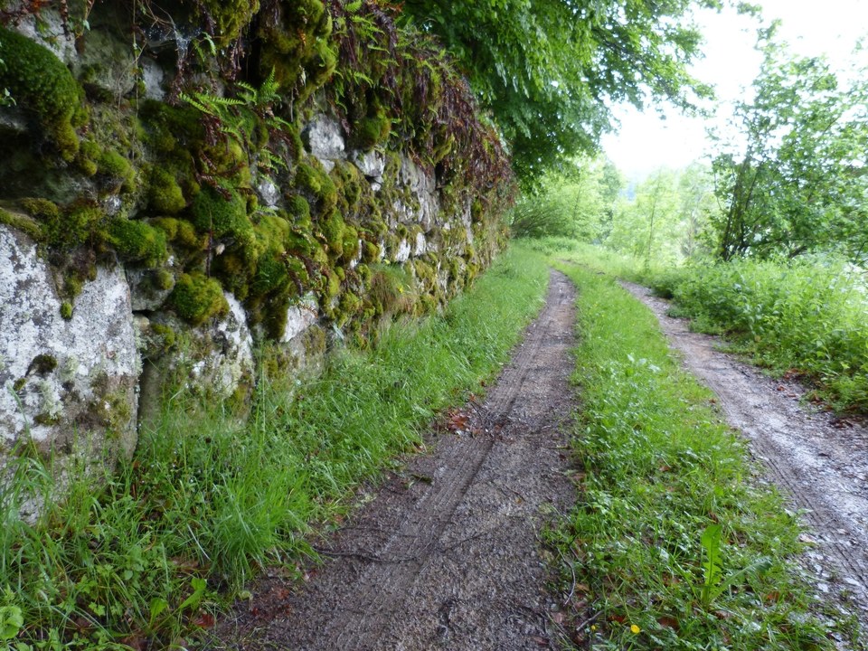 Chemin - Le chemin du Bost
