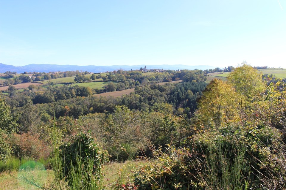 Le chemin du Lilion