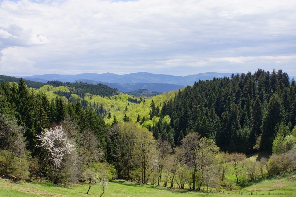 Vue de Canelier