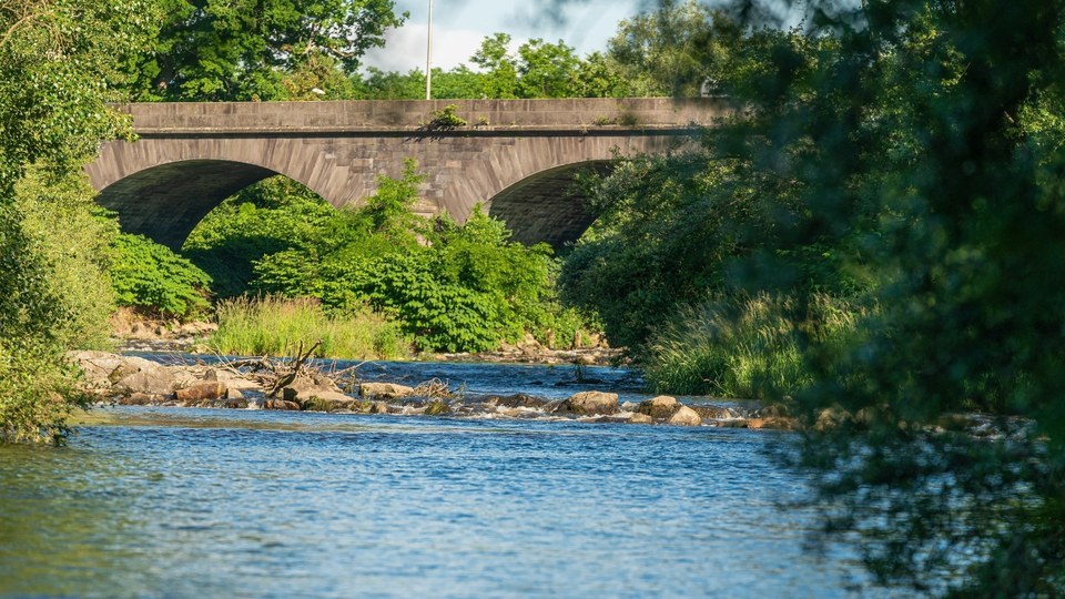 Les berges de la Dore