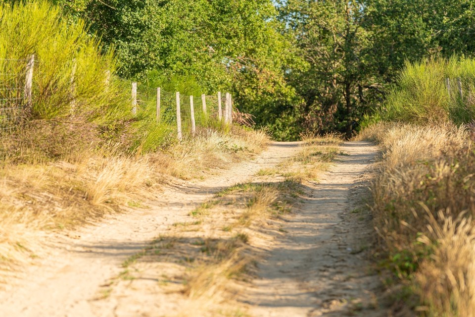 Les dunes des Girauds-Faures
