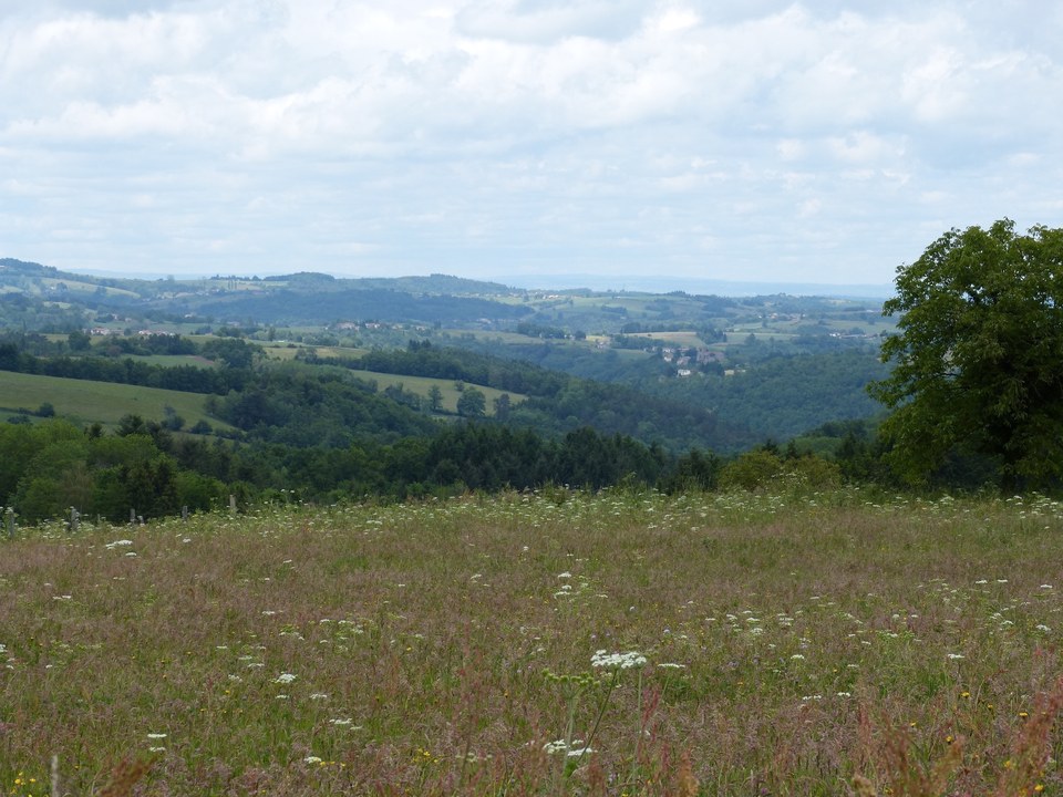 Les gorges de la Dore