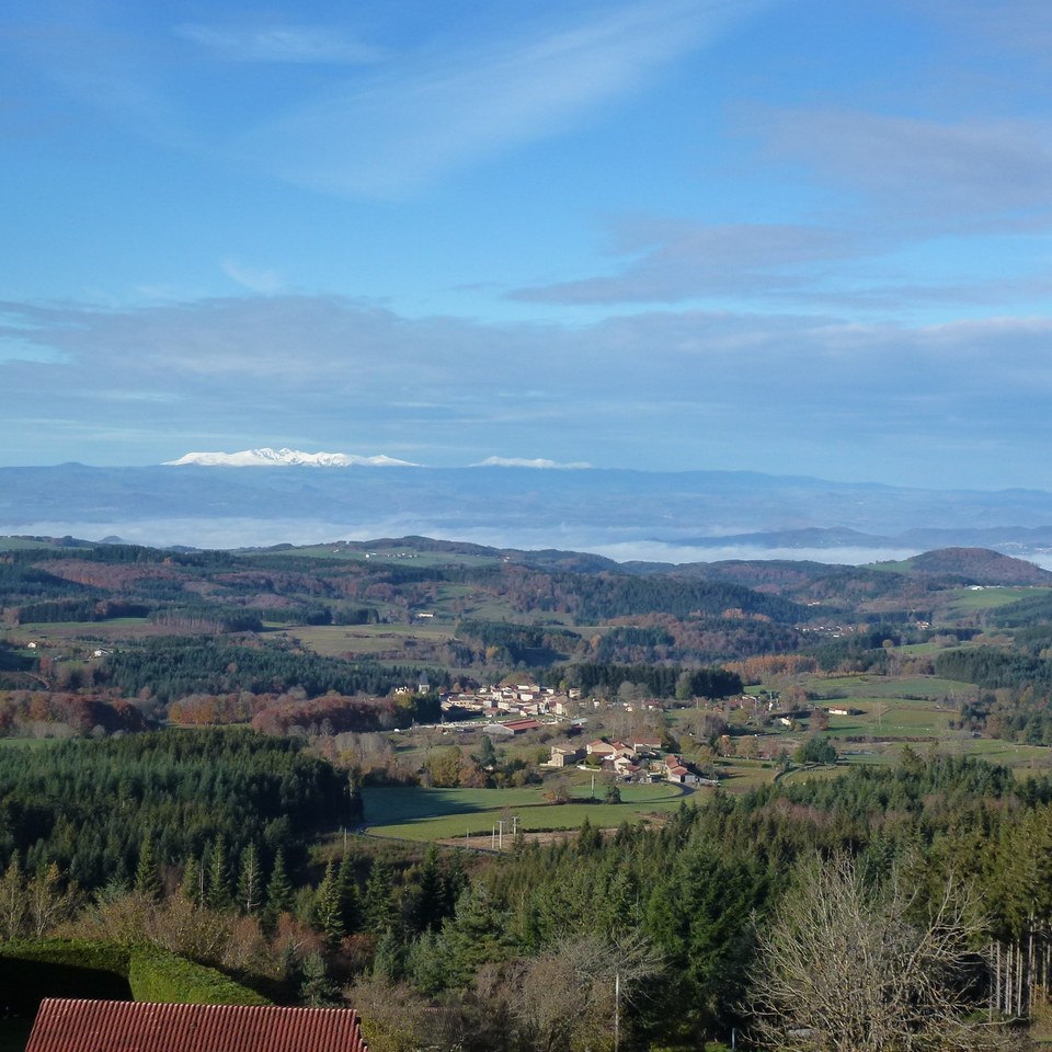 Les panoramas